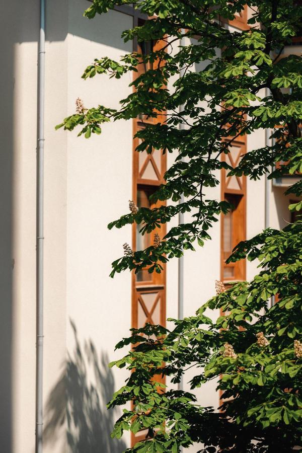 Sosnowe Tarasy Apartment เมียลโน ภายนอก รูปภาพ